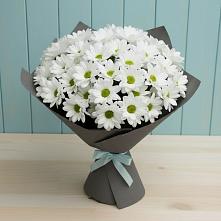 Букет цветов из:  Хризантемы в Гусиноозерске