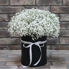 Цветочная композиция из Гипсофила в шляпной коробке в Гусиноозерске