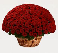 Премиум букет из: Розы в Гусиноозерске